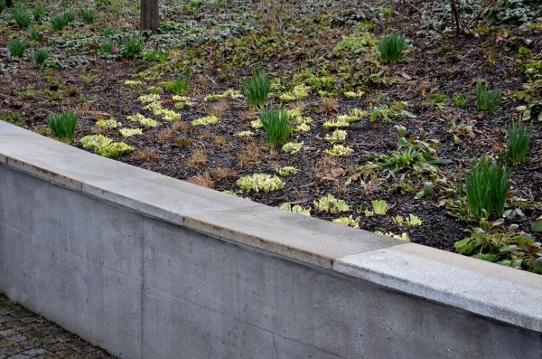 Concrete Wall Construction in Greenville