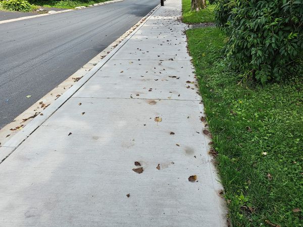 Sidewalk Renovation in Greenville