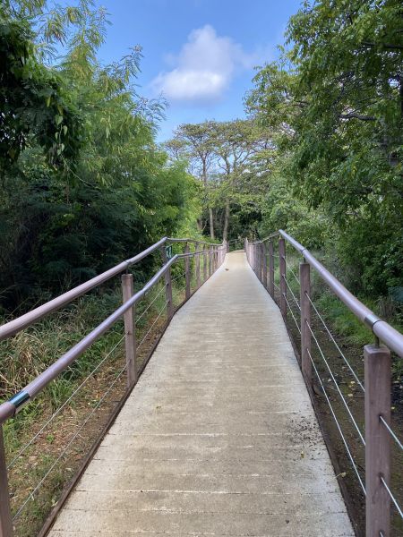 Footpath Construction in Greenville
