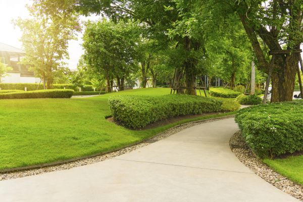 Walkway Concrete Installation in Greenville