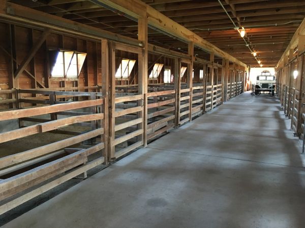 Barn Slab Construction in Greenville