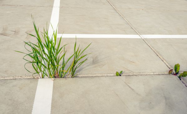 Concrete Parking Installation in Greenville