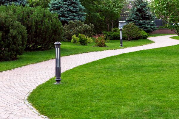 Backyard Sidewalk Installation in Greenville