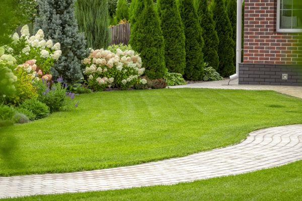 Landscape Walkway Installation in Greenville